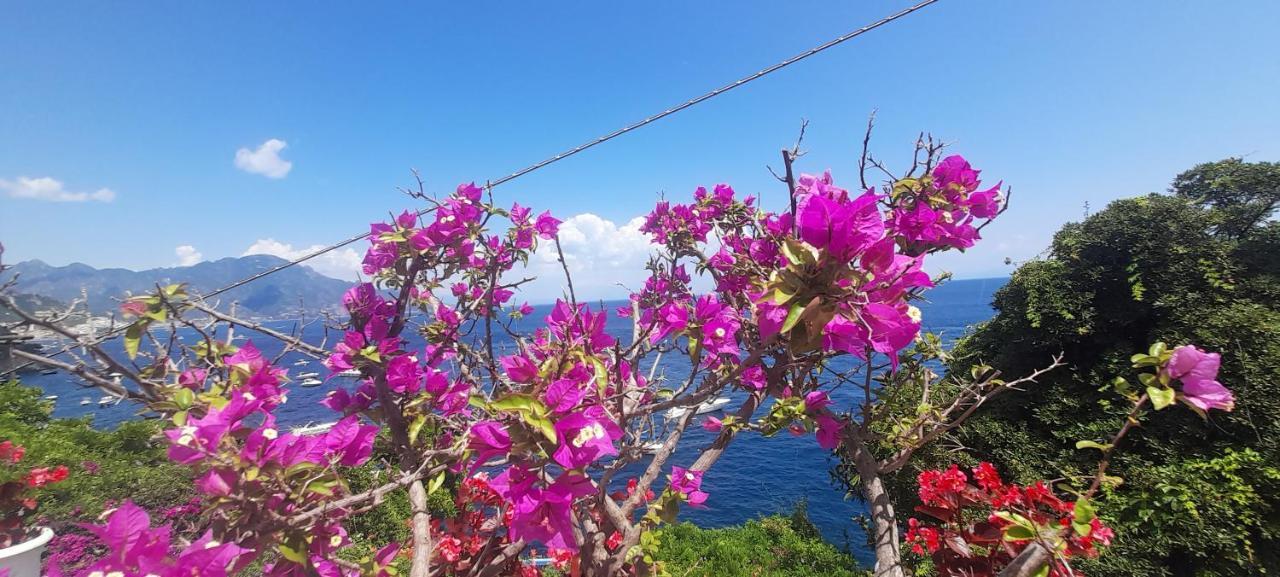Villa Gianna Amalfi Coast Conca dei Marini Exteriör bild