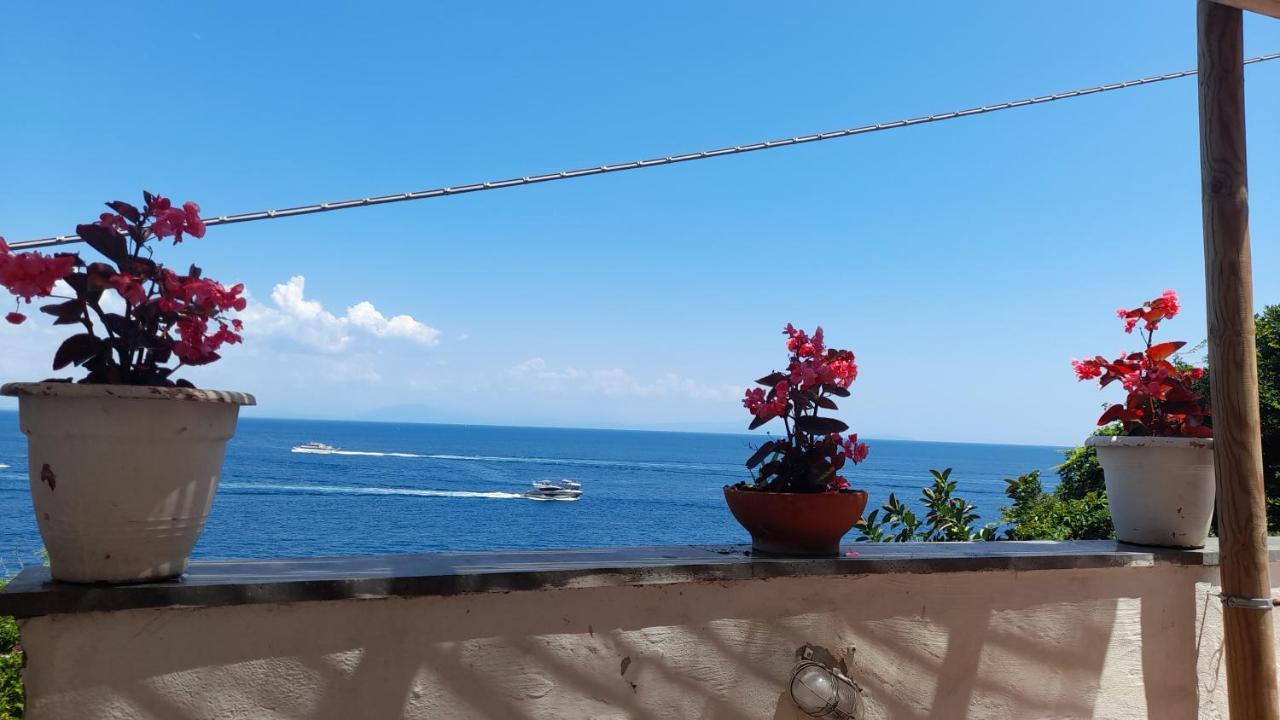 Villa Gianna Amalfi Coast Conca dei Marini Exteriör bild